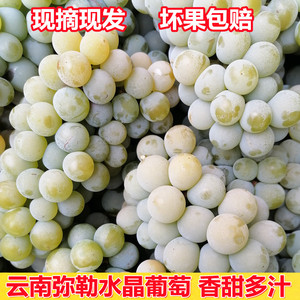 自带玫瑰香云南弥勒水晶葡萄