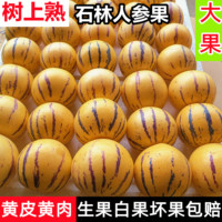 云南5斤包郵多汁當季石林人參果