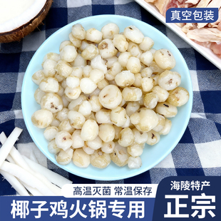 新鲜野生马蹄子正宗阳江珍珠小马蹄果去皮荸荠椰子鸡配料煲汤炒菜