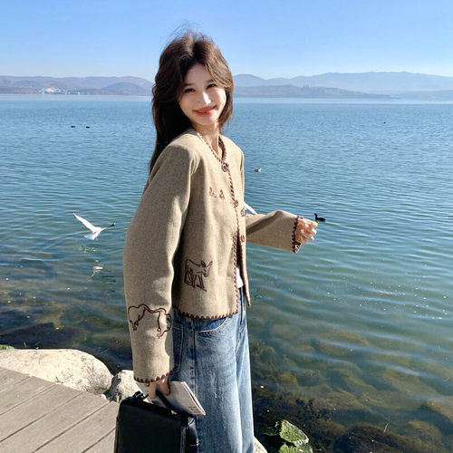 今年2026韩版短款外套女秋季长袖刺绣图案纽扣开衫卡其色上衣洋气