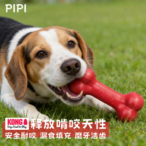 KONG橡胶耐咬磨牙洁齿狗玩具