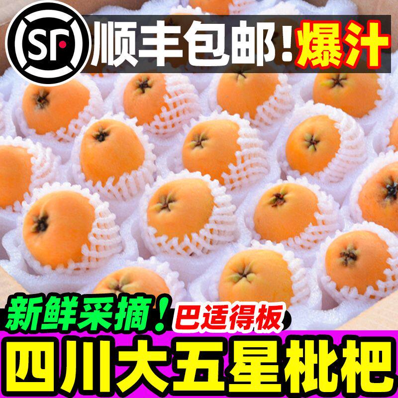 [送礼首选]【顺丰包邮】精品正宗四川大五星枇杷大果当季新鲜甜