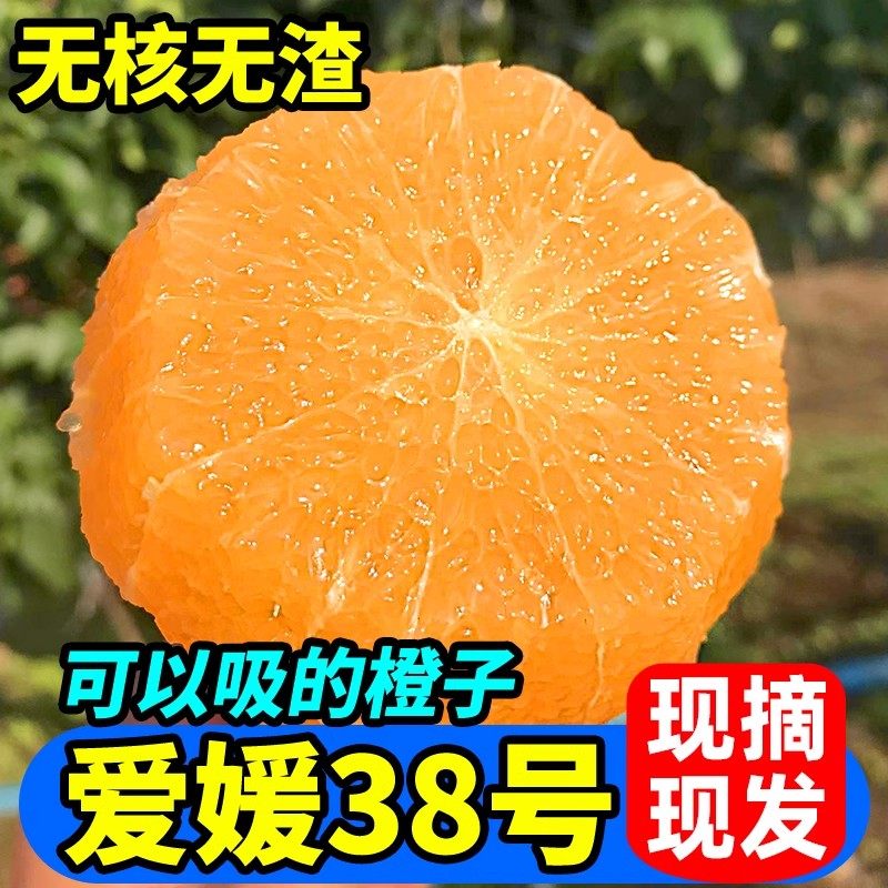 四川眉山爱媛38号果冻橙新鲜应季水果手拨橙柑橘桔