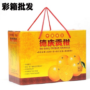 德庆皇帝柑纸箱贡柑礼盒彩色纸箱手提包装箱9-10斤装100只起批发