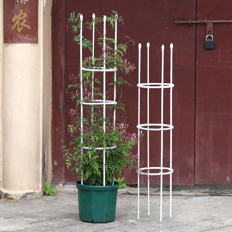 百合园艺铁丝金钱树蔬菜瓜果爬藤支架兰花定型番茄搭架杆露天加粗