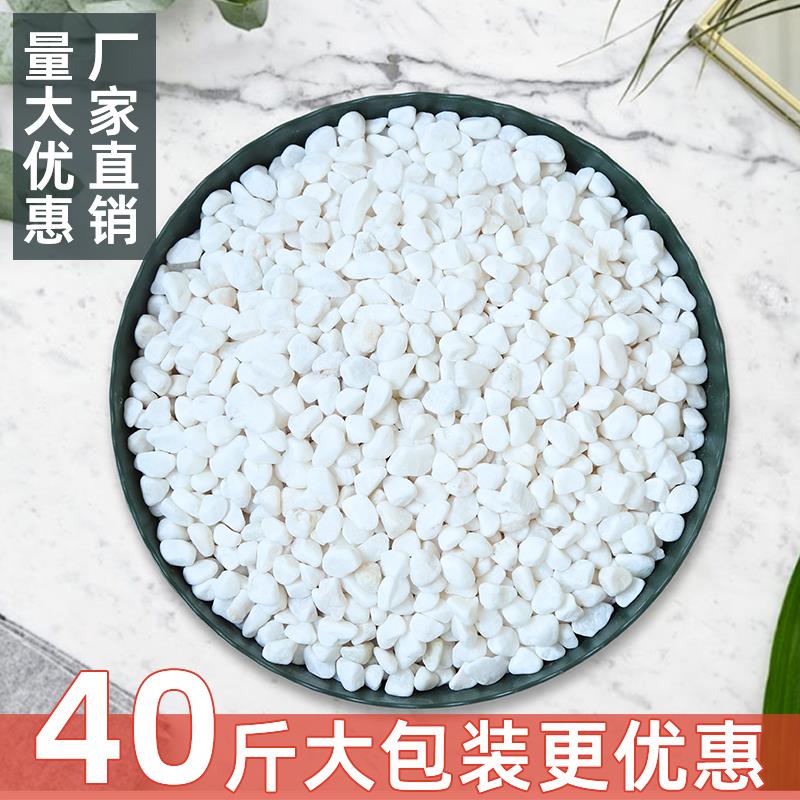 40斤白色石头大鹅卵石水洗石庭院铺地铺路花园盆栽鱼缸装饰白石子