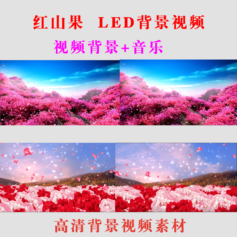 红山果舞蹈背景图图片