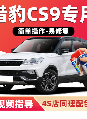 猎豹CS9补漆笔玄幻白色汽车漆划痕修复金色红色橙色黑蓝色自喷漆