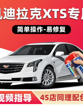 凯迪拉克XTS补漆笔幻白色汽车漆划痕修复黑色金色灰色银色自喷漆