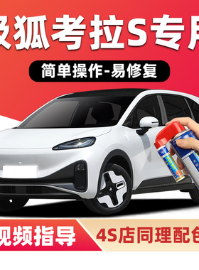 极狐考拉S补漆笔珠光白色汽车漆划痕修复泡泡灰薰衣草紫色自喷漆
