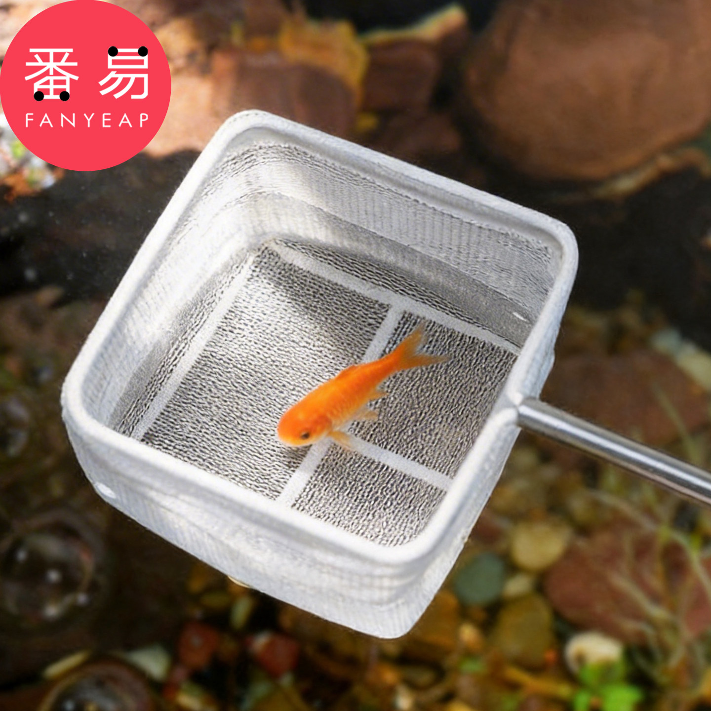 渔捞/小B1pq801-鱼缸捞鱼网可伸缩渔捞抄网圆形方形网兜抄鱼网