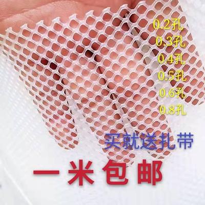 防护网小孔塑料养殖网格养鸡网