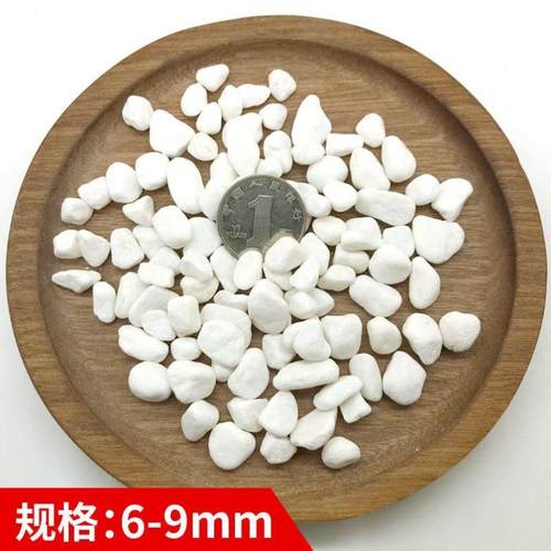 上海白色石头花盆栽装饰庭院铺路石小白石子多肉铺面鱼缸造景