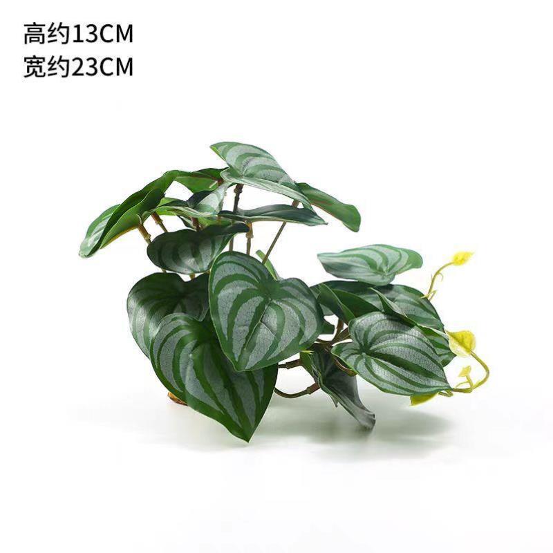 爬虫箱造景雨林沙漠仿真植物爬宠水龟箱乌龟缸陆龟箱造景绿色蜥蜴