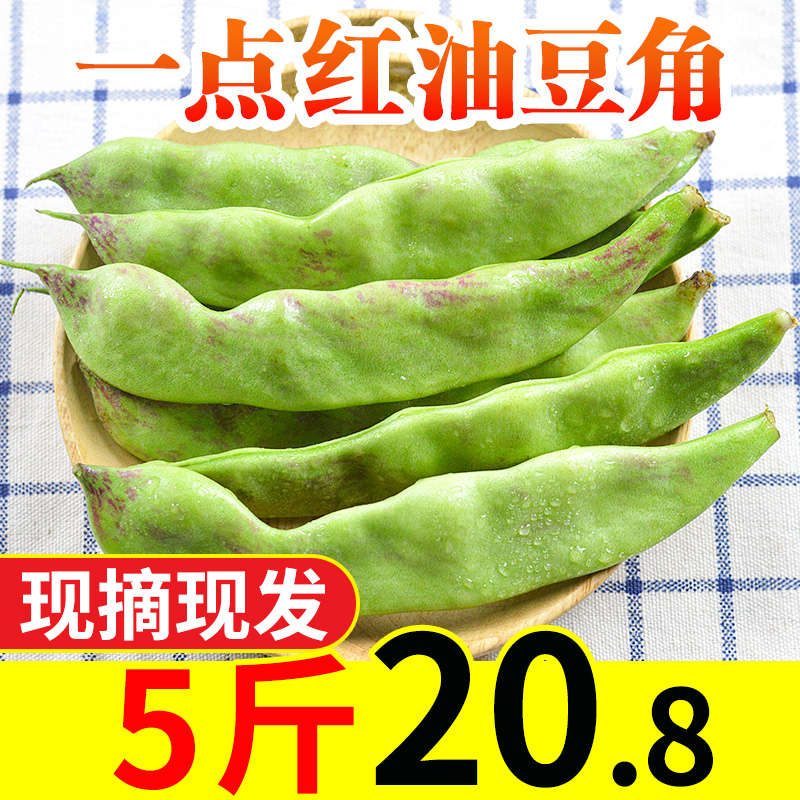 现摘东北油豆角带箱5斤新鲜蔬菜农家种一点红开锅烂九月青无筋宽