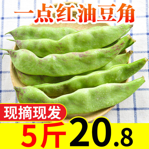 现摘东北油豆角带箱5斤新鲜蔬菜农家种一点红开锅烂九月青无筋宽