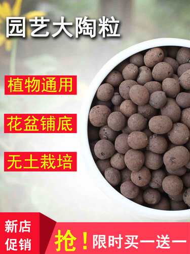 园艺花卉陶粒铺面垫底土