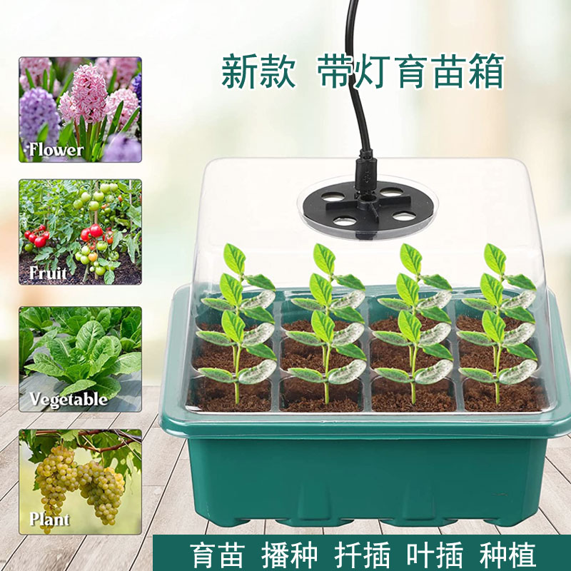 艺术秀育苗播种扦插叶插种植箱