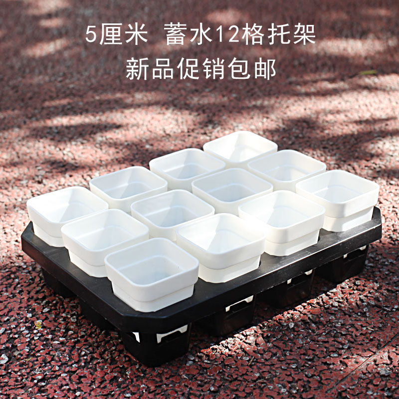 艺术秀5厘米12格蓄水托架迷你多肉花盆塑料托架生石花拇指盆托盘