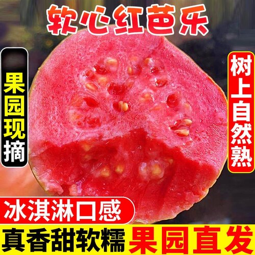 广西软糯红心芭乐5斤新鲜水果
