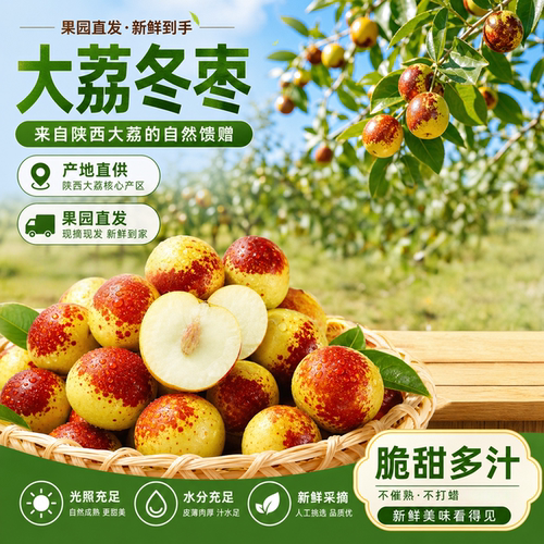 正宗陕西大荔冬枣产地顺丰包邮