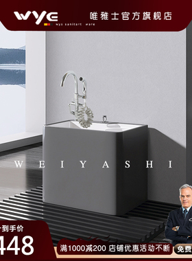 灰色多功能沥水篮2025新款家用阳台坐式龙头一体化洗拖把池拖布池