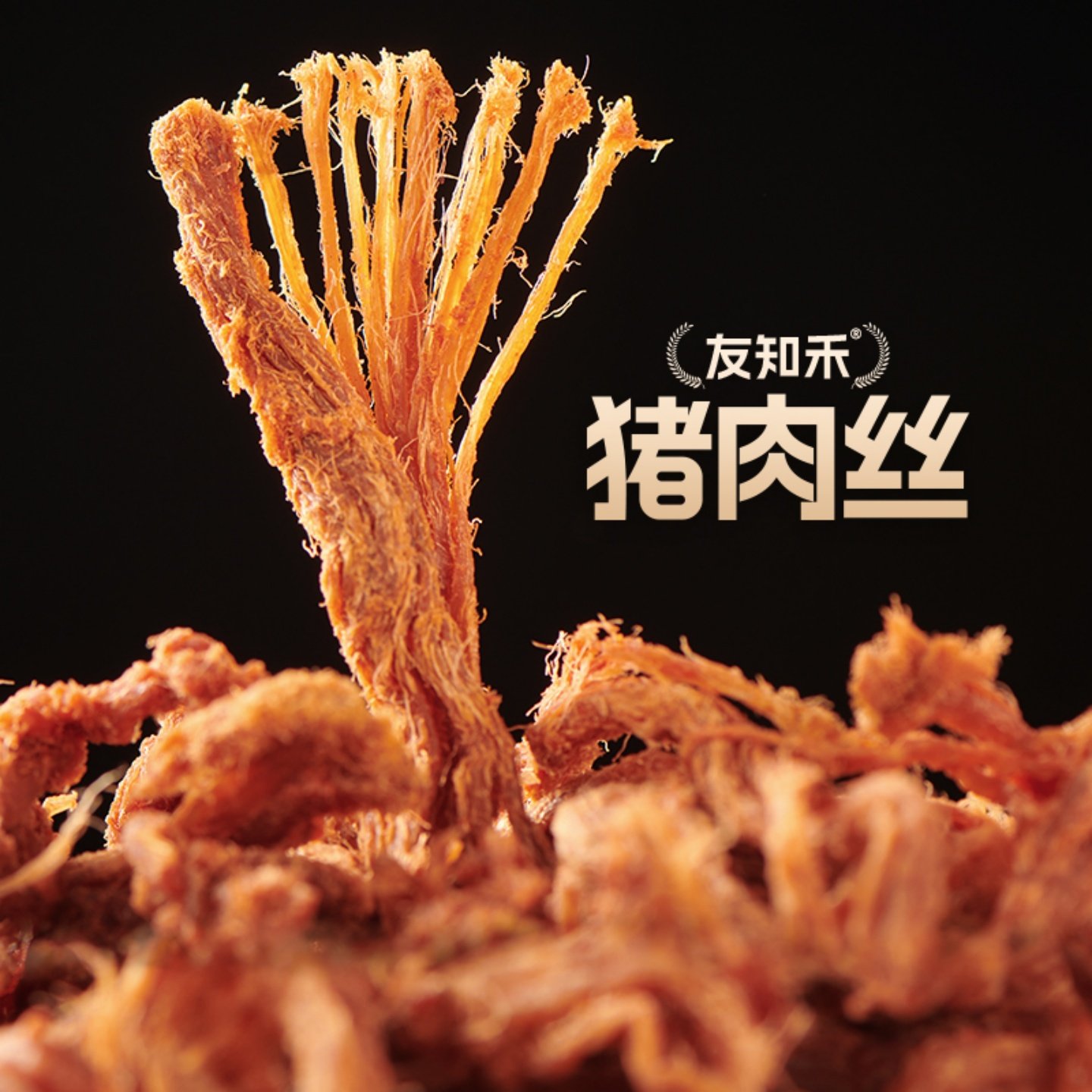 友知禾猪肉丝380克肉丝原味猪肉脯猪肉条猪肉干休闲零食小吃袋装