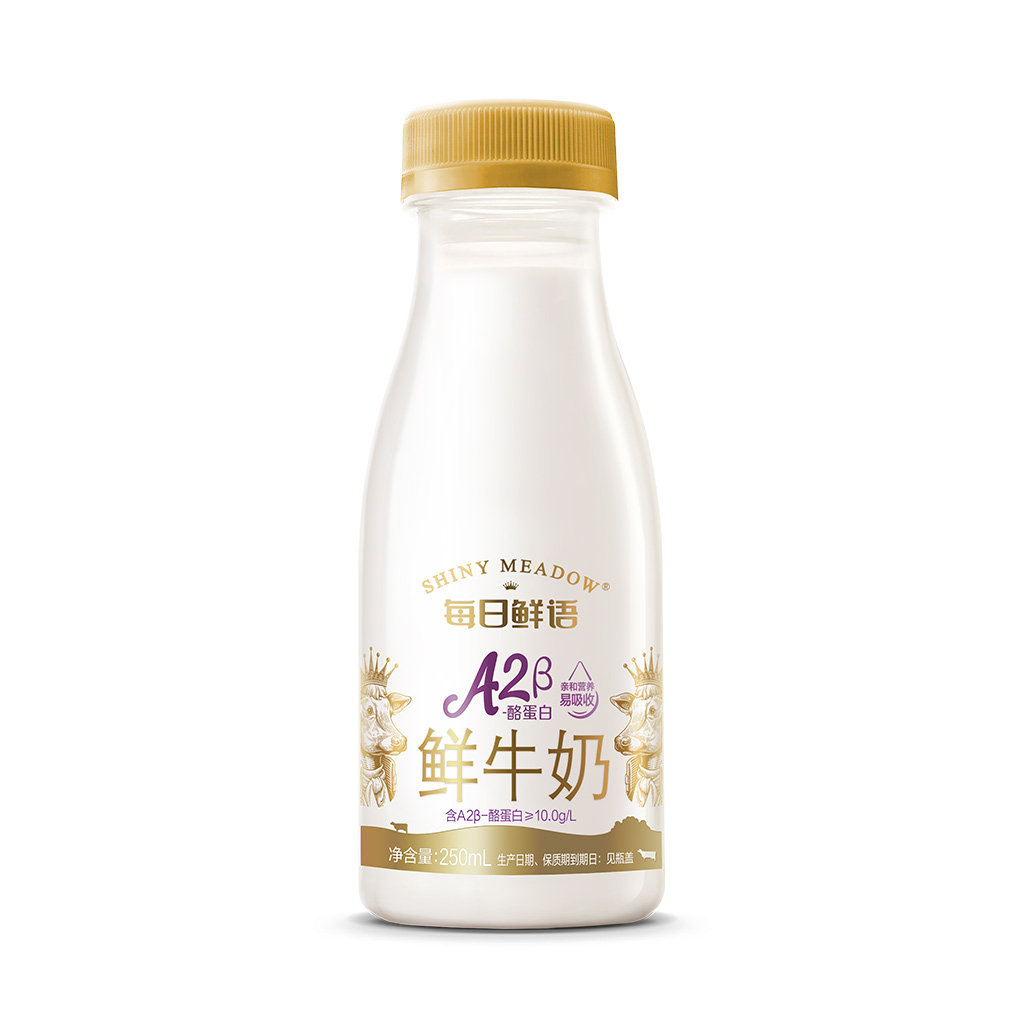 dd每日鲜语A2β酪蛋白鲜奶250ml生牛乳营养早餐奶巴氏杀菌低温奶