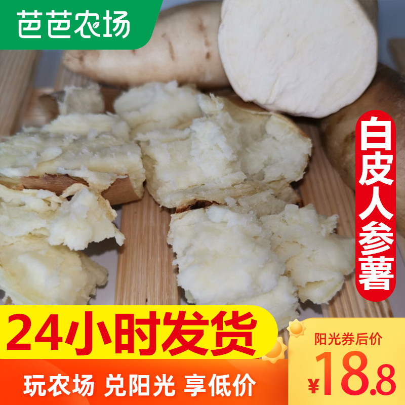 白皮白心人参薯5斤当季红薯新鲜沙地薯白皮蜜薯薯整箱地瓜山芋10