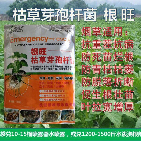 枯草芽孢杆菌控黑胫病死苗