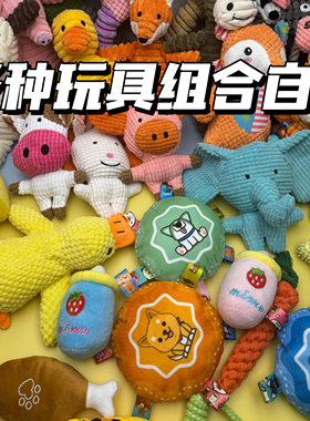 宠物狗狗玩具豪华大礼包