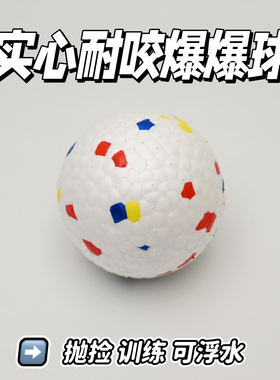 亚马逊爆款宠物玩具狗狗玩具球磨牙ETPU高弹磨牙球耐咬球