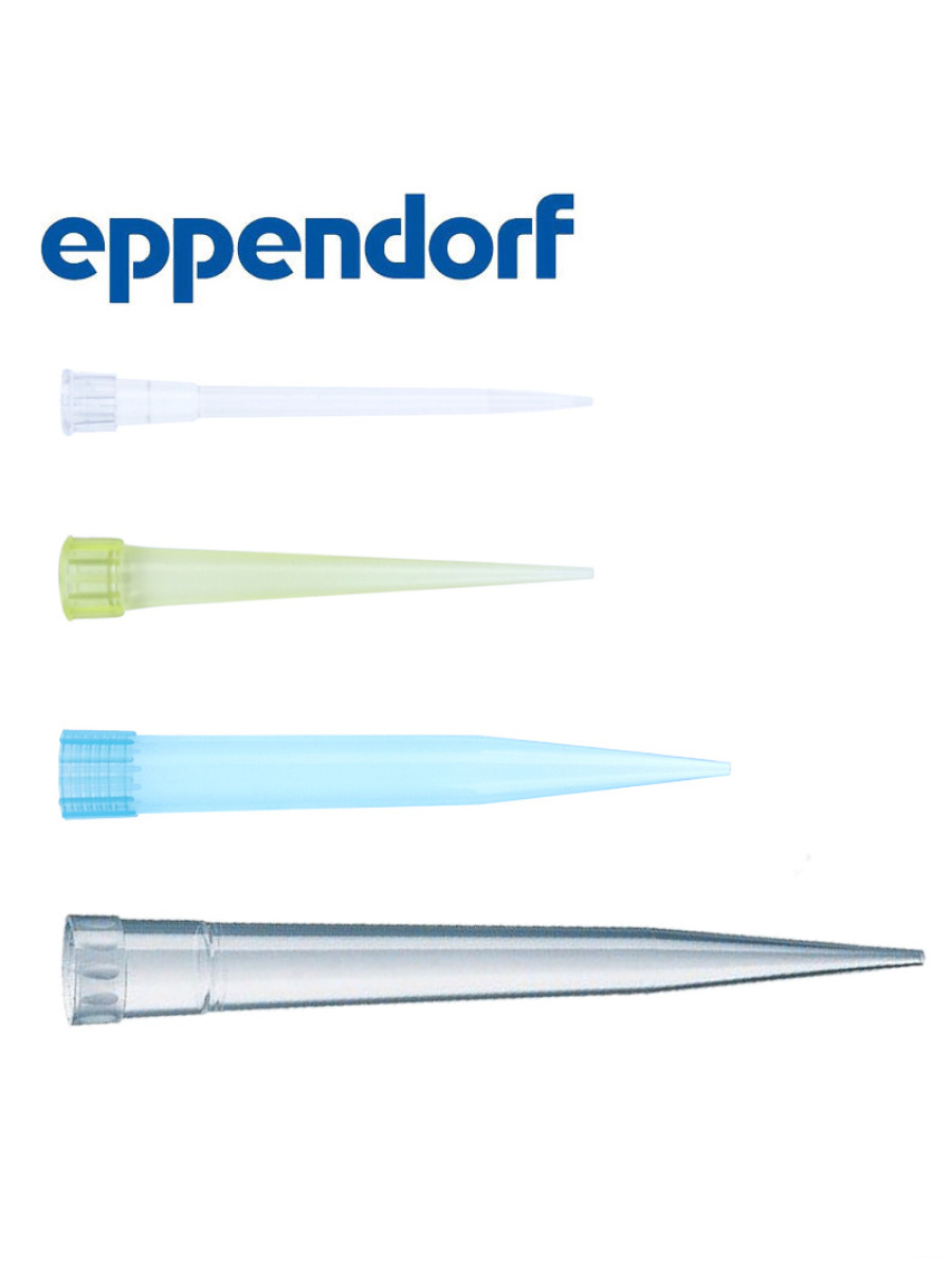 移液器吸头20/200/300/1000/12r50/5000ul/1-10ml Eppendorf移液