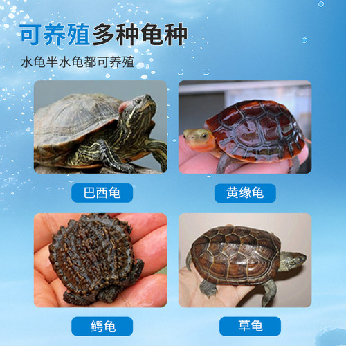 窄版龟缸带排水龟箱加厚乌龟缸家用水族箱长方形养殖箱塑料周转箱