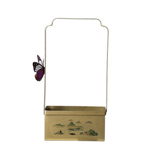 菖蒲米文竹花盆铁艺现代创意花卉绿植盆栽室内多肉小盆器专用清仓