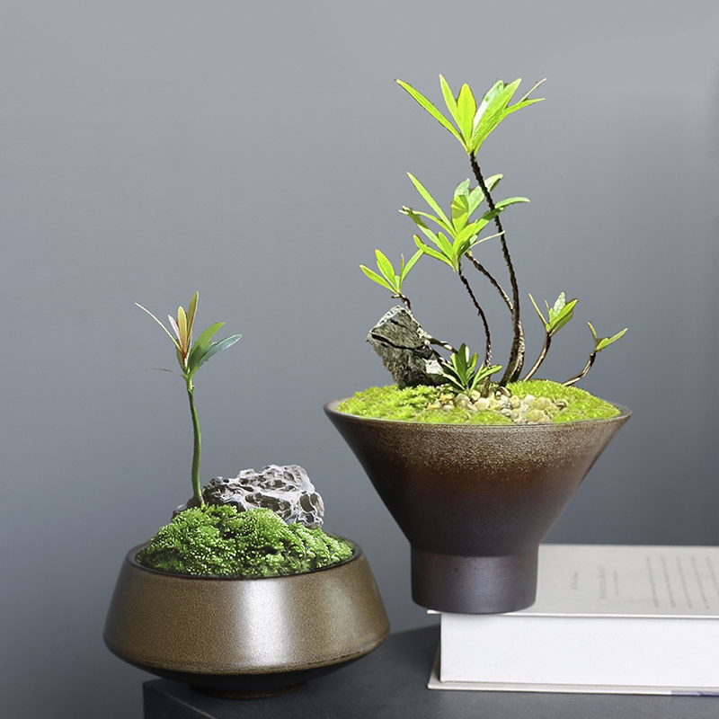 水仙花铜钱盆剑山绿植蕨类米竹文竹无孔水培容器复古新中式花艺盆,鲜花速递/花卉仿真/绿植园艺,花盆,淘宝优惠券,粉丝福利购,淘宝优惠卷