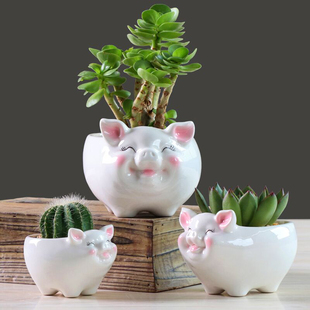 可爱小猪客厅植物白色花盆绿萝花器 简约卡通多肉花盆陶瓷创意个性