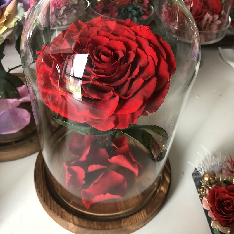 七夕礼物永生花玻璃罩干花花束保鲜花情人节送女友生日闺蜜老婆