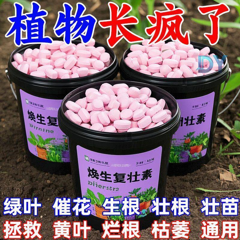 植物通用型营养缓释片肥料氮磷绿植种花养花肥家用果蔬盆栽营养液