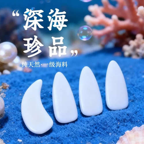 纯天然一级鱼骨古筝指甲专业考级