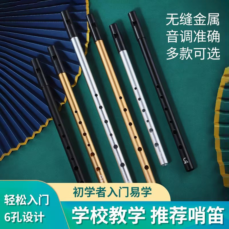 爱尔兰哨笛专业C调D调金属笛子六孔竖笛小学生专用6孔直笛降E降B