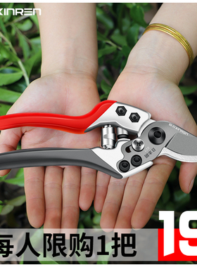 剪枝剪刀果树修枝剪园林园艺剪德国省力粗枝剪剪枝修花工具花枝剪