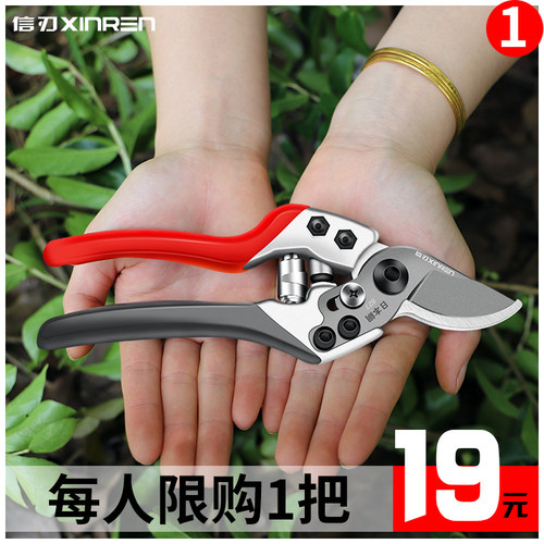 省力剪枝剪刀果树修枝剪信刃