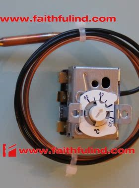 议价JUMO 00520682 久茂温度传器 heatTHERM 602031/21 120度