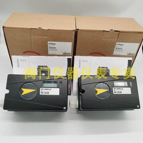 议价Flowserve福斯阀门定位器D30AHN2-U39PVA-U5X0XN
