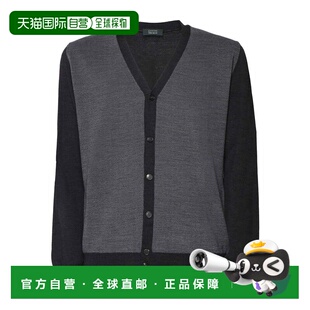 AW2024 ZANONE 810116ZN225N5460 针织毛衣 灰色 男士