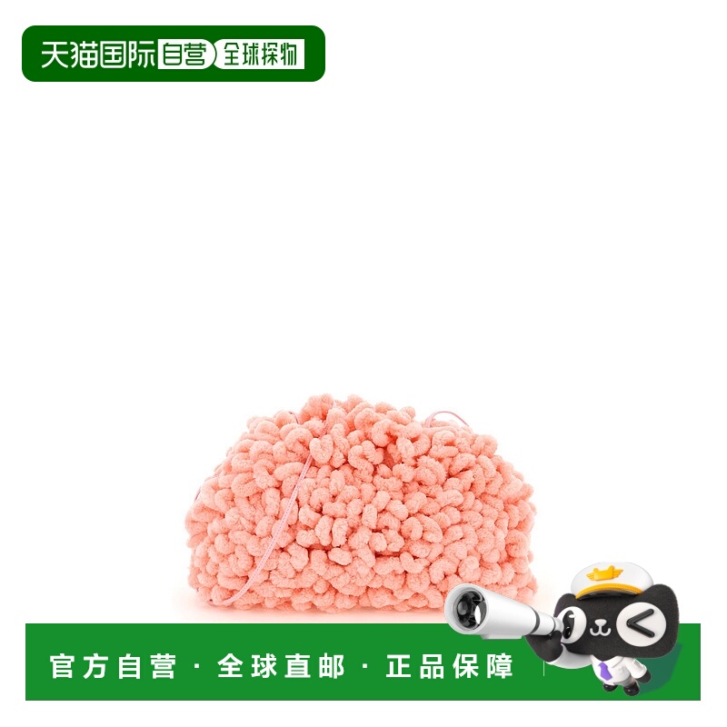 BOTTEGA VENETA 女士手拿包 585852V1QA15925 AW2023