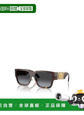 VERSACE 男士太阳镜 VE4483D1088G CO 黑色 全框太阳镜范思哲