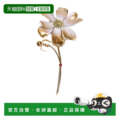 奢淘 Dior en Fleurs 胸针 女 V1911WOMLQ