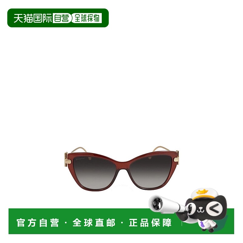 1h可退 SALVATORE FERRAGAMO 女士眼镜 SF928S210 AW2024太阳镜